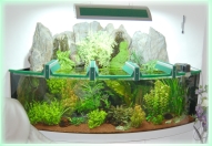 Aquarium